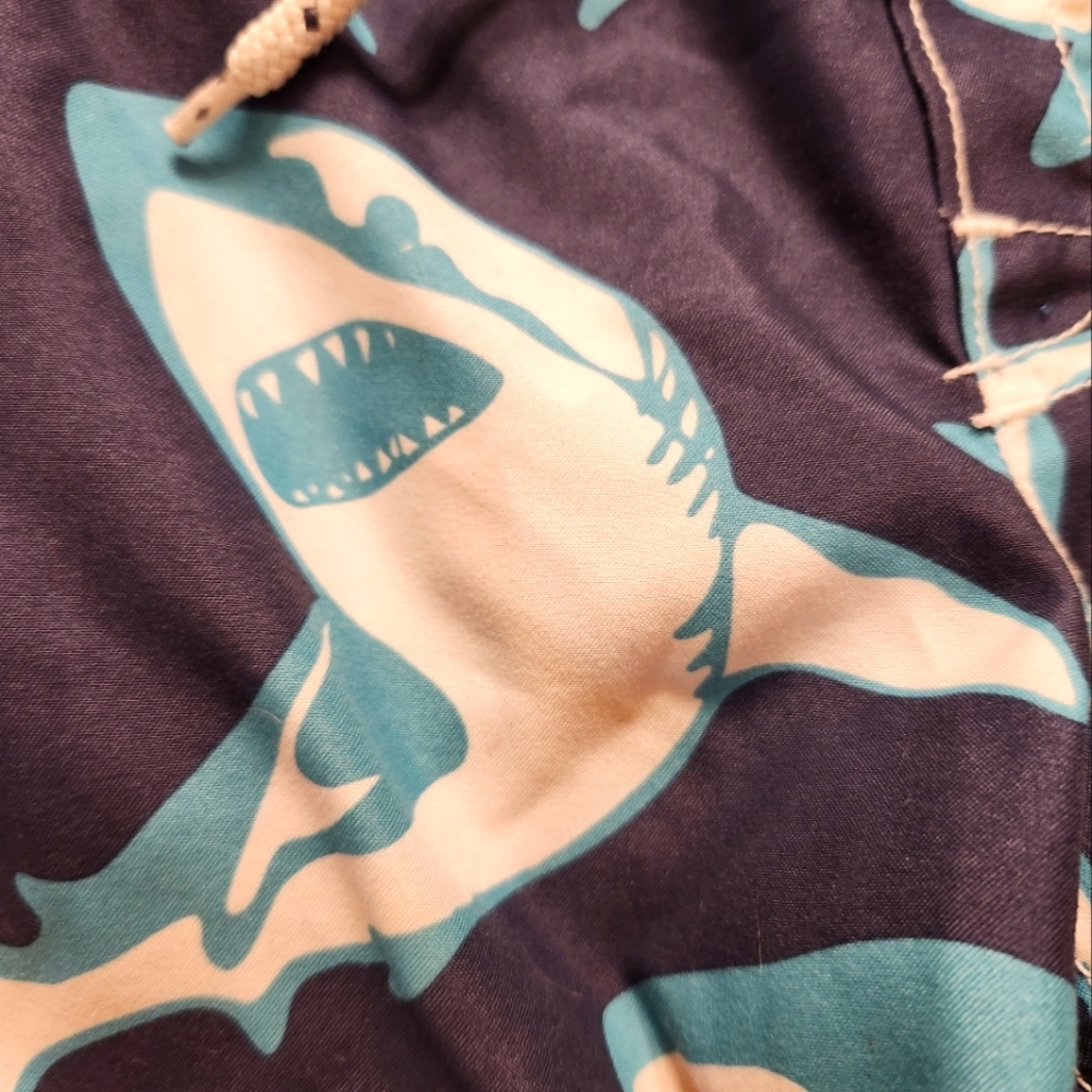 Gap Swim Trunks